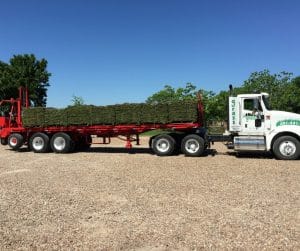 Grass Sod Delivery Available